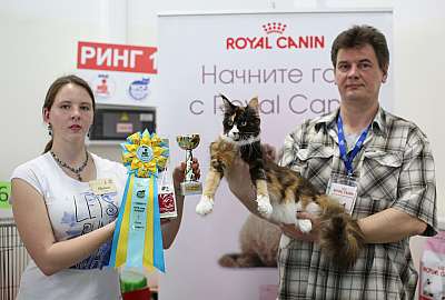   11-12  2015 WCF- 3-21-169A4327 copy.jpg